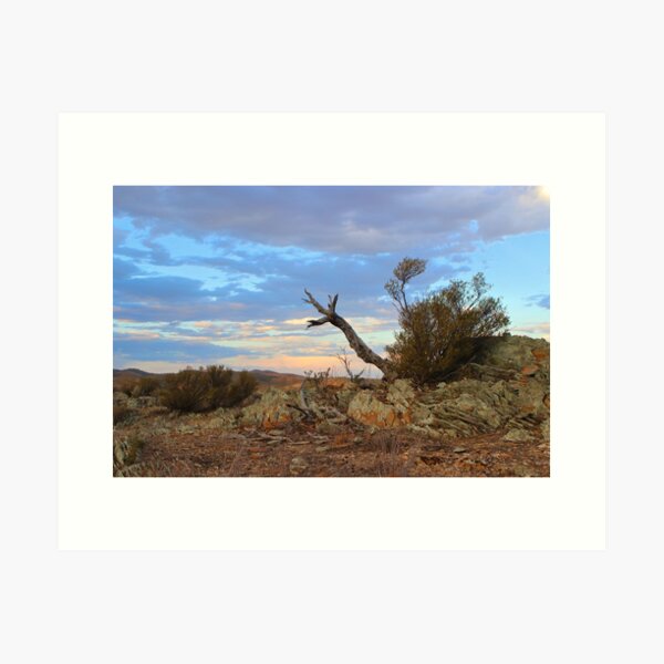 Item preview, Nature's sculpture, Bendleby Ranges, Australia designed and sold by FranWest.
