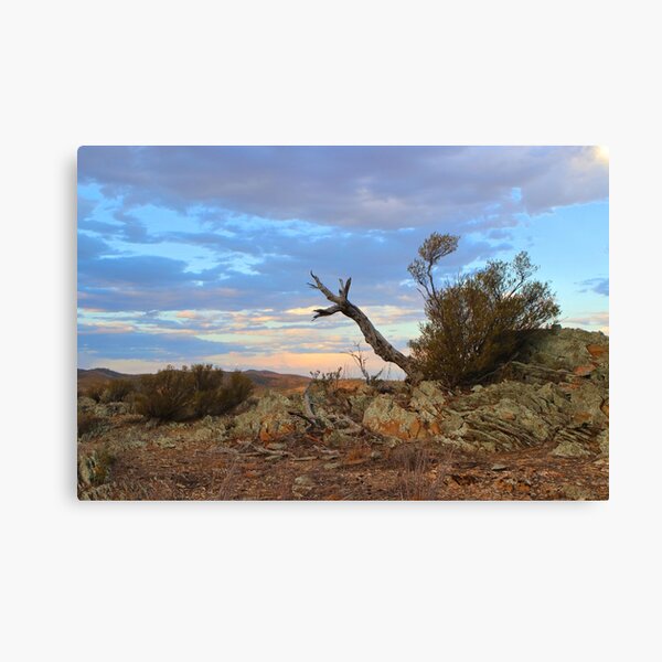 Item preview, Nature's sculpture, Bendleby Ranges, Australia designed and sold by FranWest.