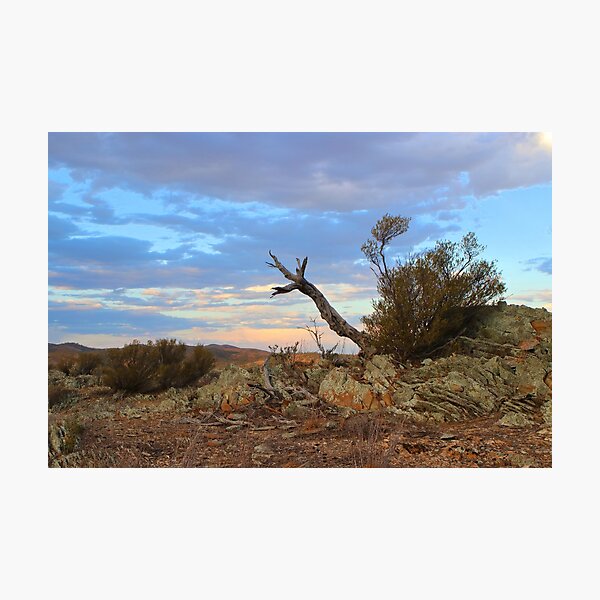 Item preview, Nature's sculpture, Bendleby Ranges, Australia designed and sold by FranWest.