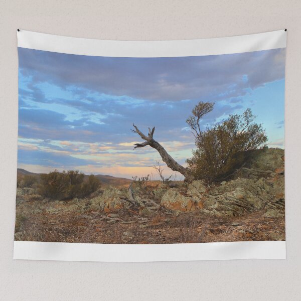 Item preview, Nature's sculpture, Bendleby Ranges, Australia designed and sold by FranWest.