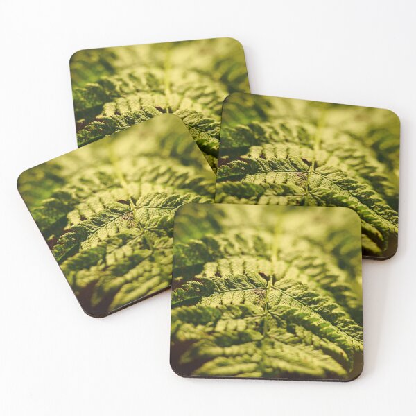 Item preview, Sunlit Fern designed and sold by TheNordicNature.