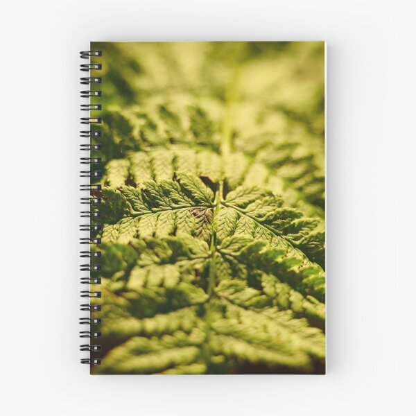 Item preview, Sunlit Fern designed and sold by TheNordicNature.