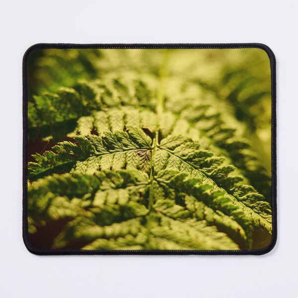 Item preview, Sunlit Fern designed and sold by TheNordicNature.