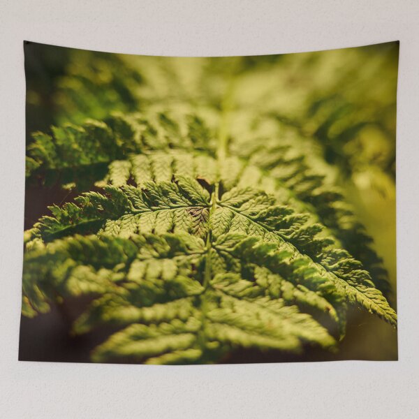 Item preview, Sunlit Fern designed and sold by TheNordicNature.