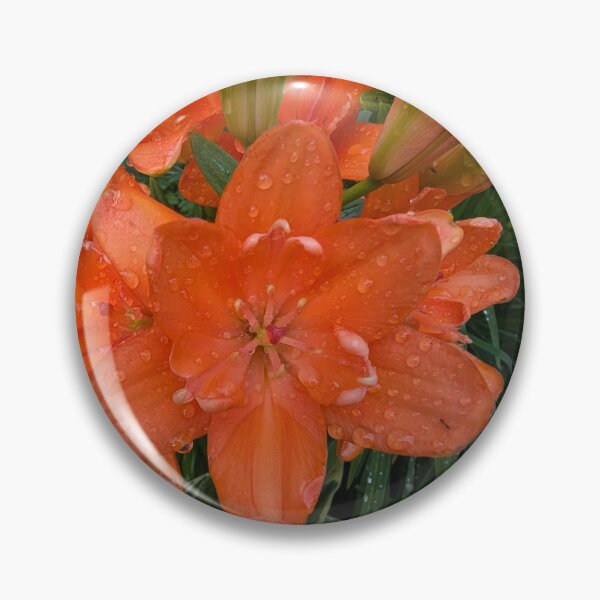 Item preview, Rain on an orange lily designed and sold by Andersong.