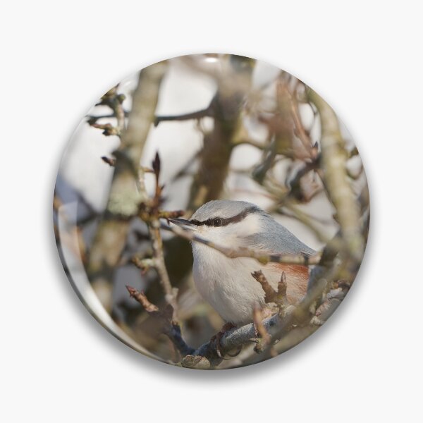 Item preview, Perched Nuthatch in the Woodland designed and sold by TheNordicNature.