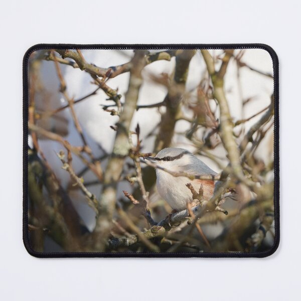 Item preview, Perched Nuthatch in the Woodland designed and sold by TheNordicNature.