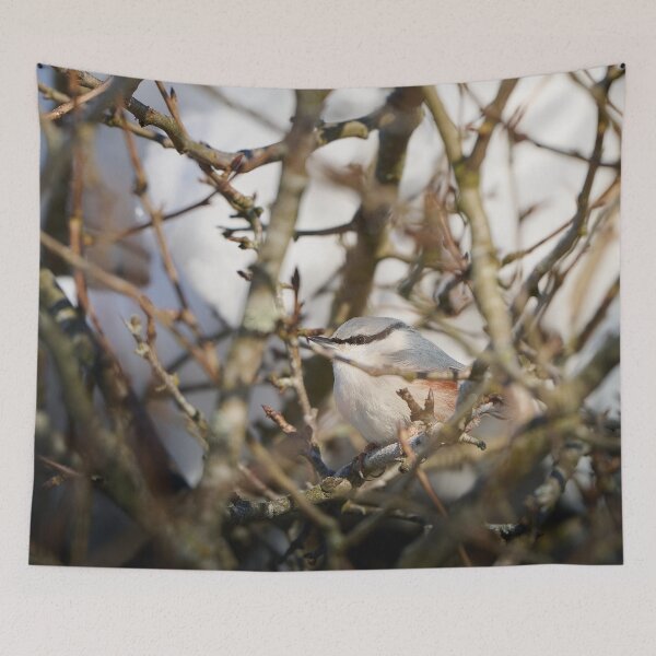 Item preview, Perched Nuthatch in the Woodland designed and sold by TheNordicNature.