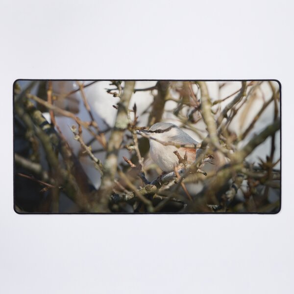 Item preview, Perched Nuthatch in the Woodland designed and sold by TheNordicNature.