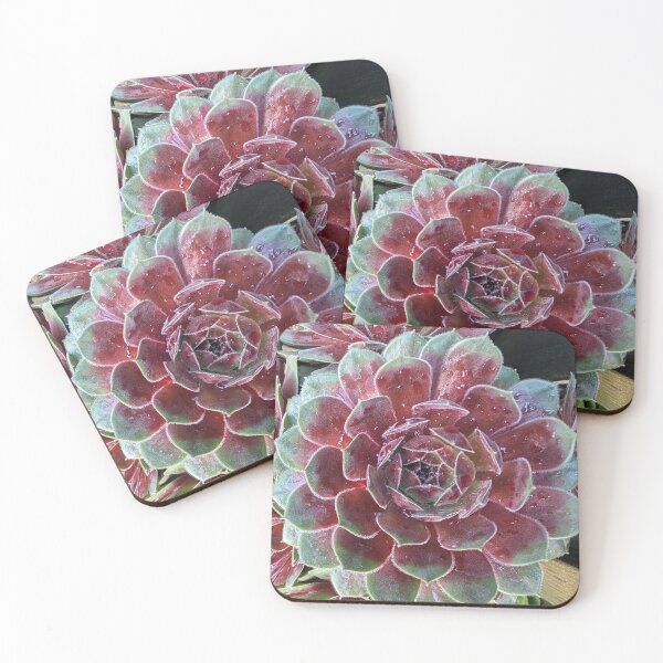 Item preview, Rain on a succulent  designed and sold by Andersong.