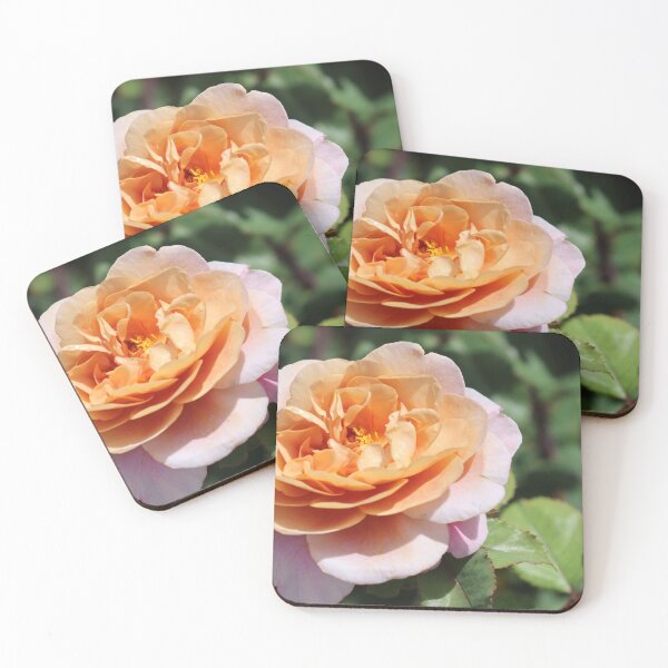 Item preview, Wishing you all Rosa Peace designed and sold by Patti Melfi.