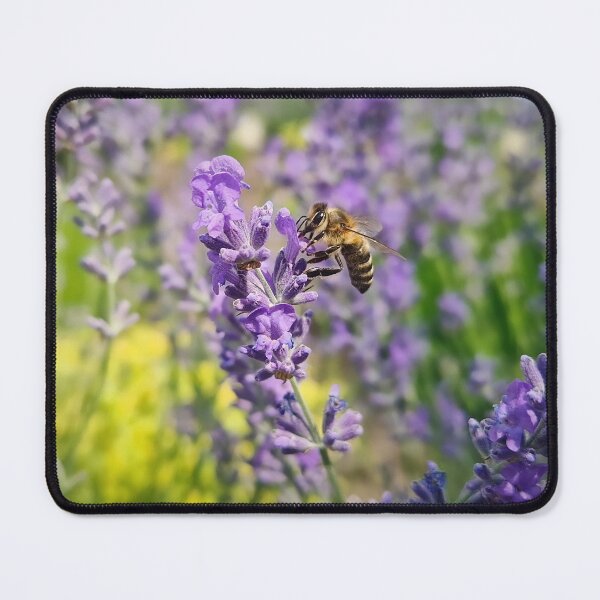 Item preview, honey bee pollinating lavender blossoms designed and sold by psychoshadow.