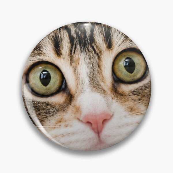 Item preview, Big Eyes, Bigger Questions designed and sold by Kimberly Palmer.