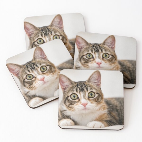 Item preview, Big Eyes, Bigger Questions designed and sold by Kimberly Palmer.