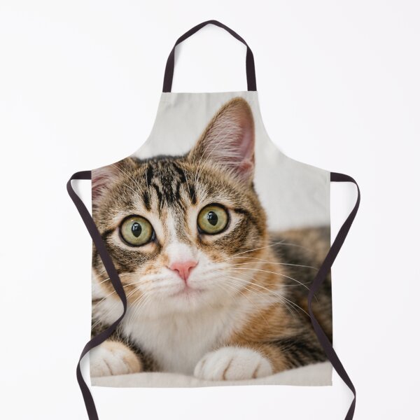 Item preview, Big Eyes, Bigger Questions designed and sold by Kimberly Palmer.