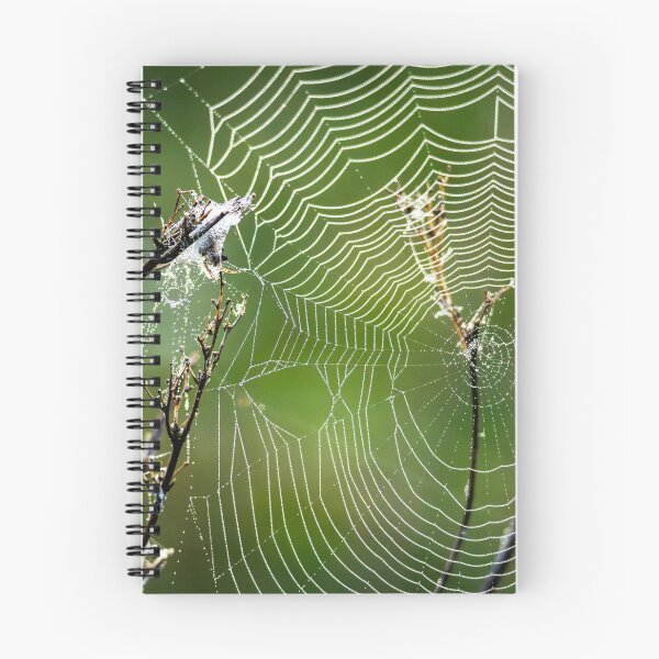 Item preview, Morning Architecture – Dew-Covered Orb Web, Bristol, England designed and sold by Johnathan Robinson Photography.