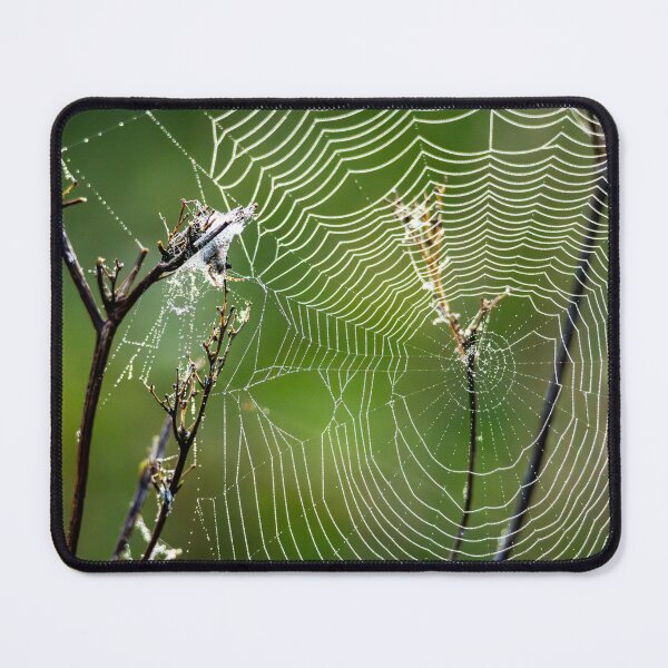 Item preview, Morning Architecture – Dew-Covered Orb Web, Bristol, England designed and sold by Johnathan Robinson Photography.