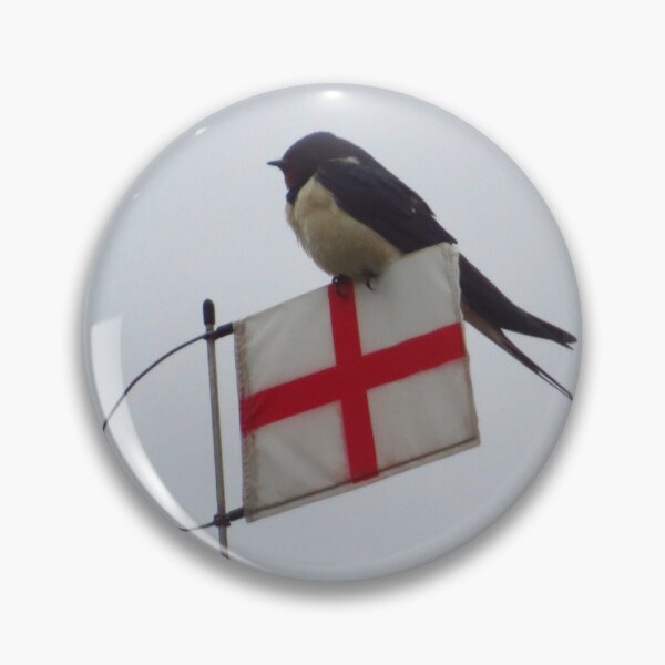 Item preview, Come on ENGLAND ! designed and sold by wiggyofipswich.