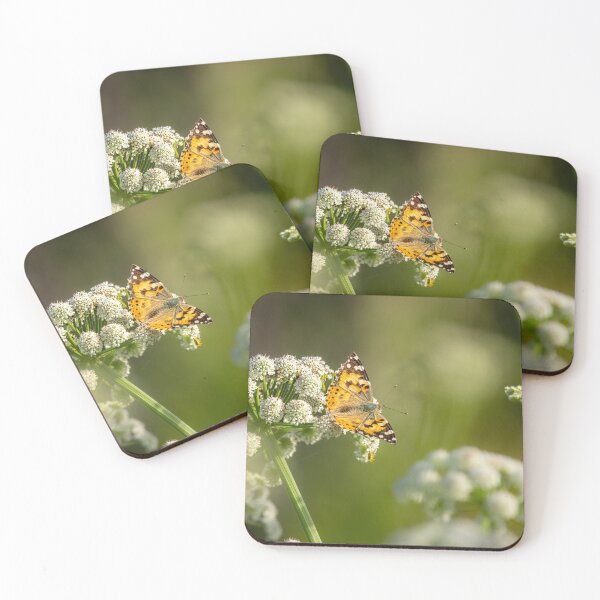 Item preview, Brunch Break – Painted Lady Butterfly on Cow Parsley, Bristol, England designed and sold by Johnathan Robinson Photography.
