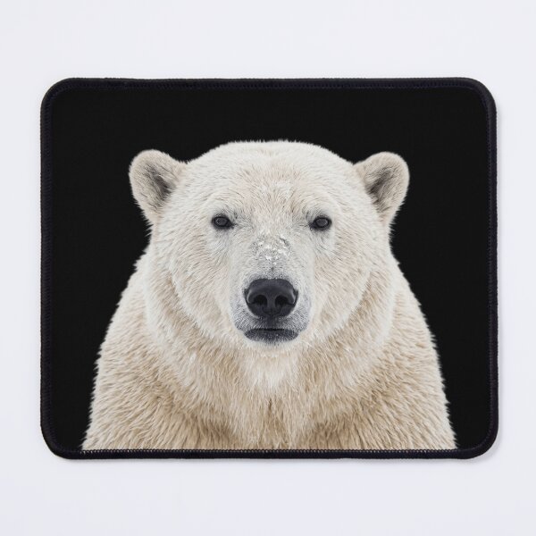 Item preview, Cute Polar Bear for Polar Bear lovers designed and sold by RareLavender.
