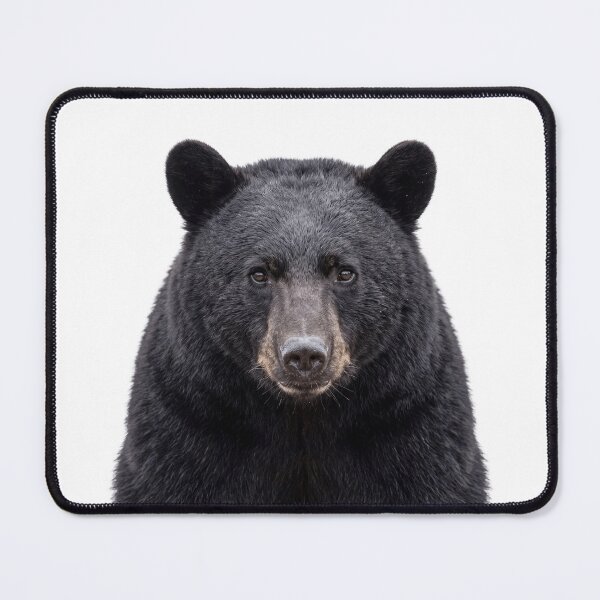 Item preview, Cute Black Bear for Black Bear lovers designed and sold by RareLavender.