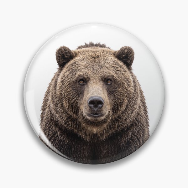 Item preview, Cute Brown Bear for Brown Bear lovers designed and sold by RareLavender.