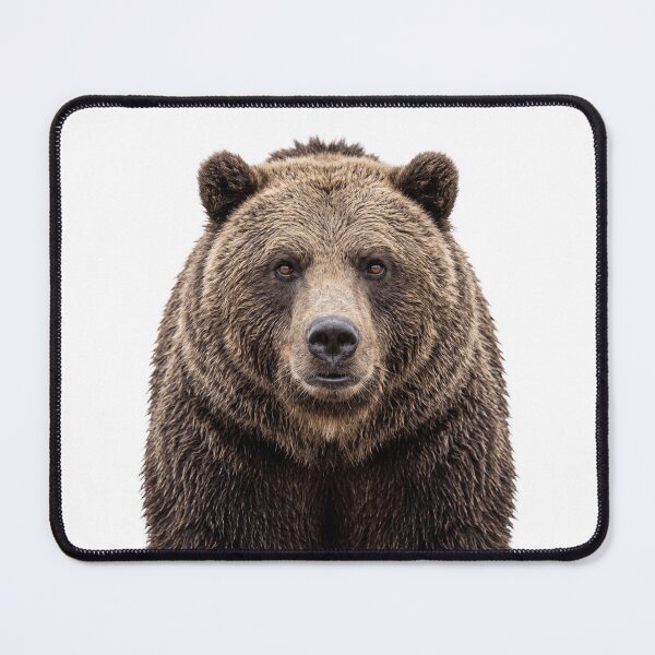Item preview, Cute Brown Bear for Brown Bear lovers designed and sold by RareLavender.