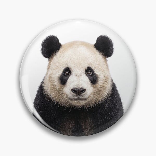 Item preview, Cute Panda for Panda lovers designed and sold by RareLavender.