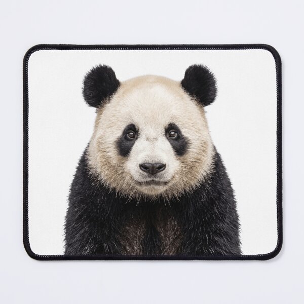 Item preview, Cute Panda for Panda lovers designed and sold by RareLavender.