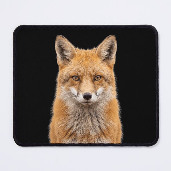Item preview, Cute Fox for Fox lovers designed and sold by RareLavender.