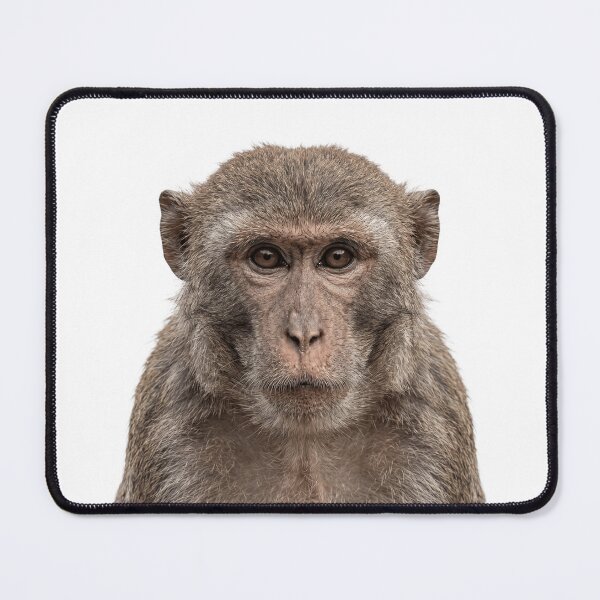 Item preview, Cute Monkey for Monkey lovers designed and sold by RareLavender.