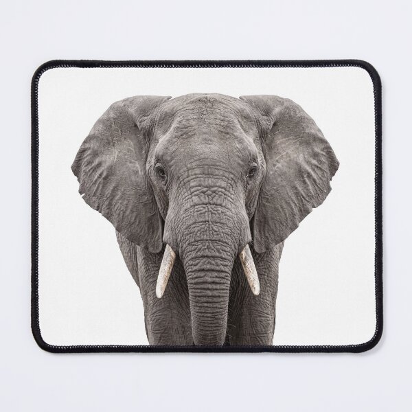 Item preview, Cute Elephant for Elephant lovers designed and sold by RareLavender.