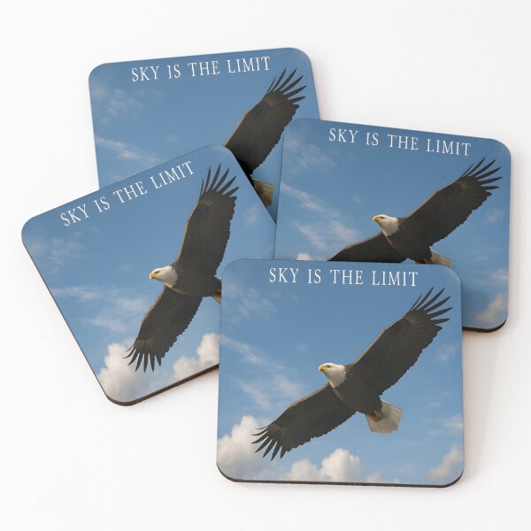 Item preview, Sky Is The Limit | 3D Transparent Soaring Eagle Motivation Sticker designed and sold by Imagetore.