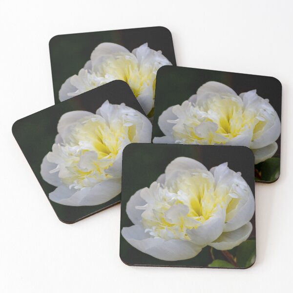 Item preview, White Peony designed and sold by JeanKellyPhoto.