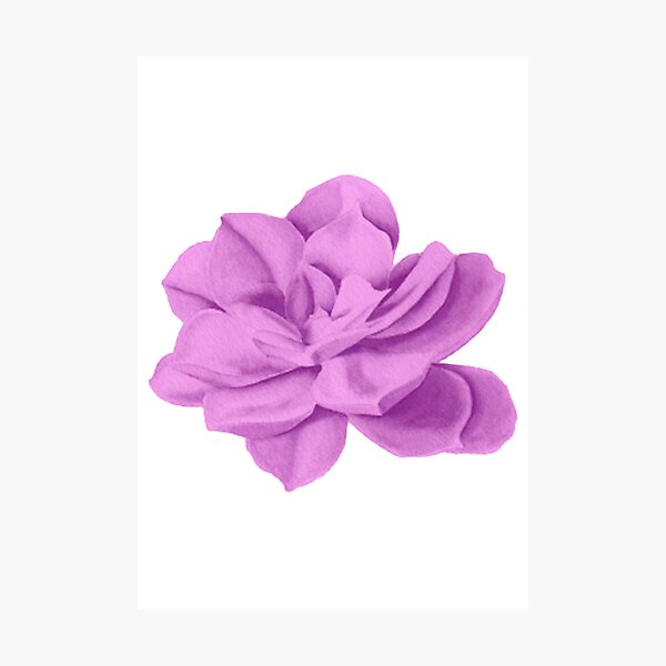 Item preview, Sage Rose Watercolor Succulent Flower - Minimalist Nature Art designed and sold by Arteandart.