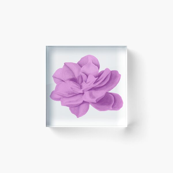 Item preview, Sage Rose Watercolor Succulent Flower - Minimalist Nature Art designed and sold by Arteandart.
