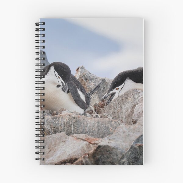 Item preview, Special Delivery by a Chinstrap Penguin Antarctica designed and sold by PhotoArt by Joan Carroll.