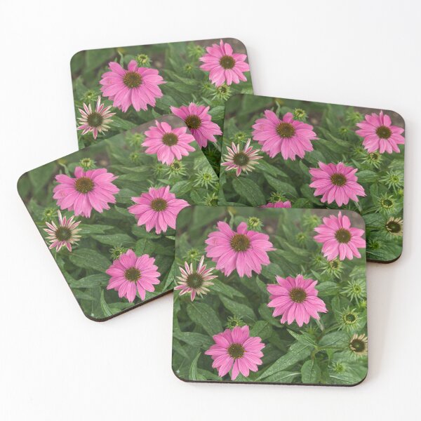 Item preview, Pink Echinacea Flowers designed and sold by Angela Dow.