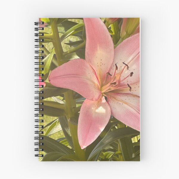 Artikelvorschau, Rosa Lilie – Blumenfoto-Puzzle und Wandbild entworfen und verkauft von RnIDesignd.