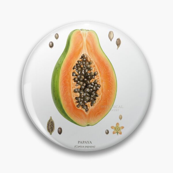 Item preview, Fresh Papaya Tropical Fruit Illustration designed and sold by Arteandart.