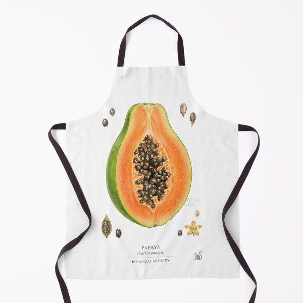 Item preview, Fresh Papaya Tropical Fruit Illustration designed and sold by Arteandart.