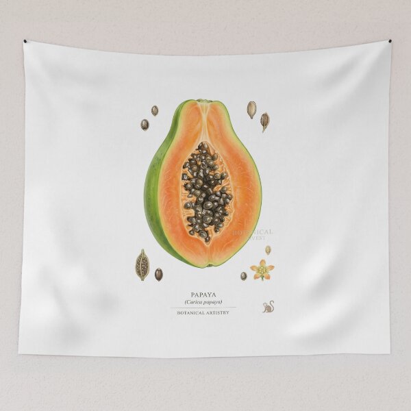 Item preview, Fresh Papaya Tropical Fruit Illustration designed and sold by Arteandart.