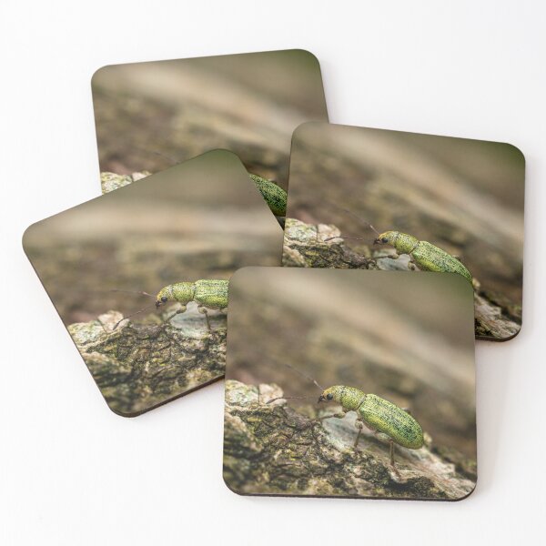 Item preview, Taking the Stairs – Green Nettle Weevil on Bark, Bristol, England designed and sold by Johnathan Robinson Photography.