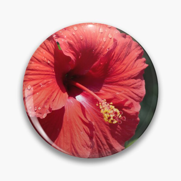 Item preview, Scarlet Hibiscus and Raindrops designed and sold by AENJ Collective.