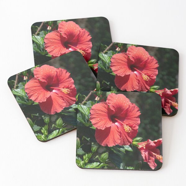 Item preview, Scarlet Hibiscus and Raindrops designed and sold by AENJ Collective.