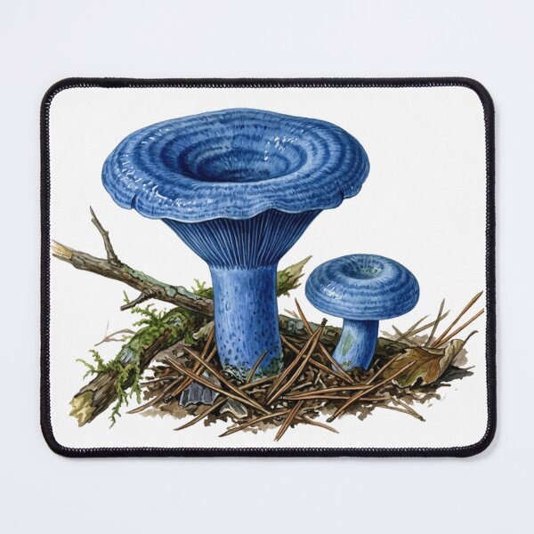 Item preview, Lactarius indigo - Blue Saffron Milk Cap with Latex designed and sold by Chaoscience.