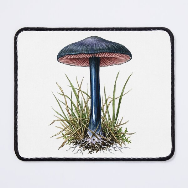 Item preview, Entoloma caeruleum - Pinkgill Azul designed and sold by Chaoscience.