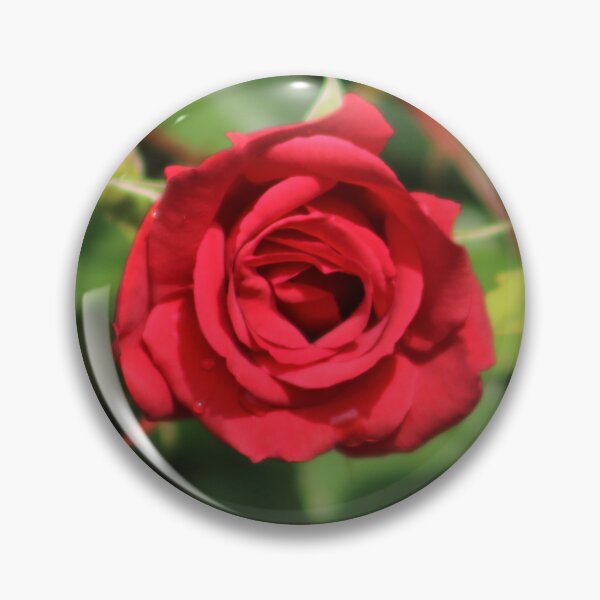 Artikelvorschau, Rote Rose entworfen und verkauft von MelittArt.