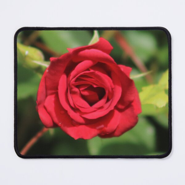 Item preview, Red Rose designed and sold by MelittArt.