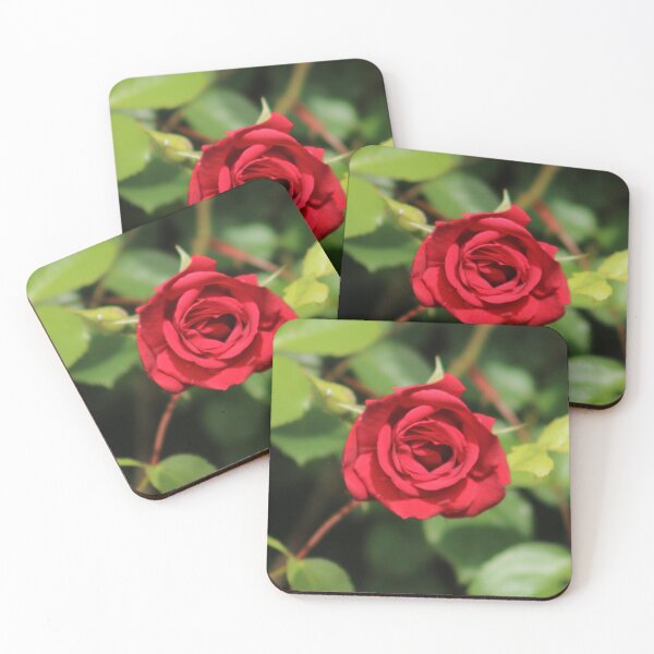 Item preview, Red Rose designed and sold by MelittArt.